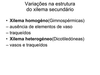 Variações na estrutura do xilema secundário Xilema homogéno (Gimnospérmicas) –  ausência de elementos de vaso –  traqueídos Xilema heterogéneo (Dicotiledóneas) –  vasos e traqueídos 