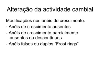 Alteração da actividade cambial Modificações nos anéis de crescimento: - Anéis de crescimento ausentes - Anéis de crescimento parcialmente ausentes ou descontínuos - Anéis falsos ou duplos “Frost rings” 