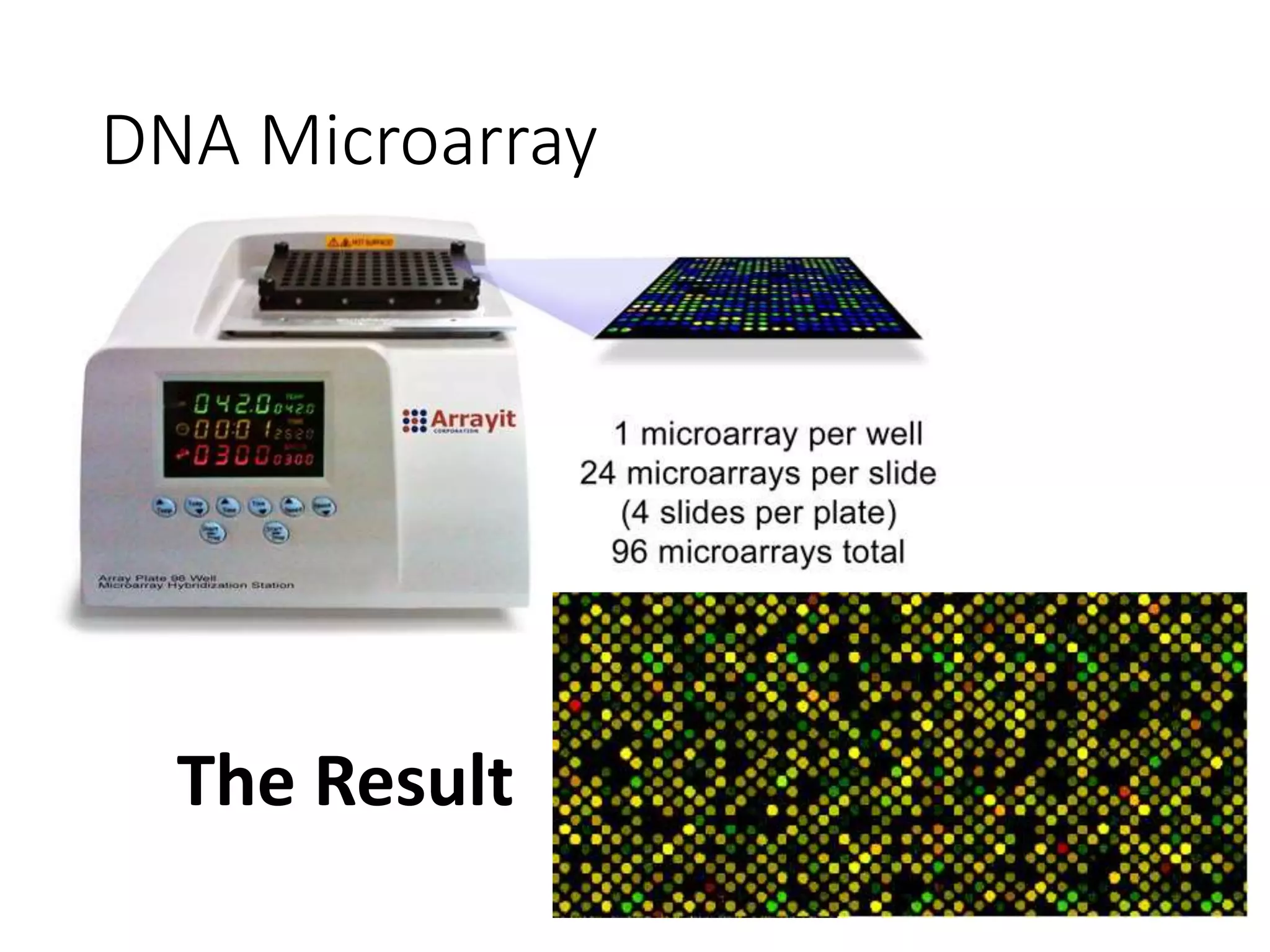 DNA Microarray
The Result