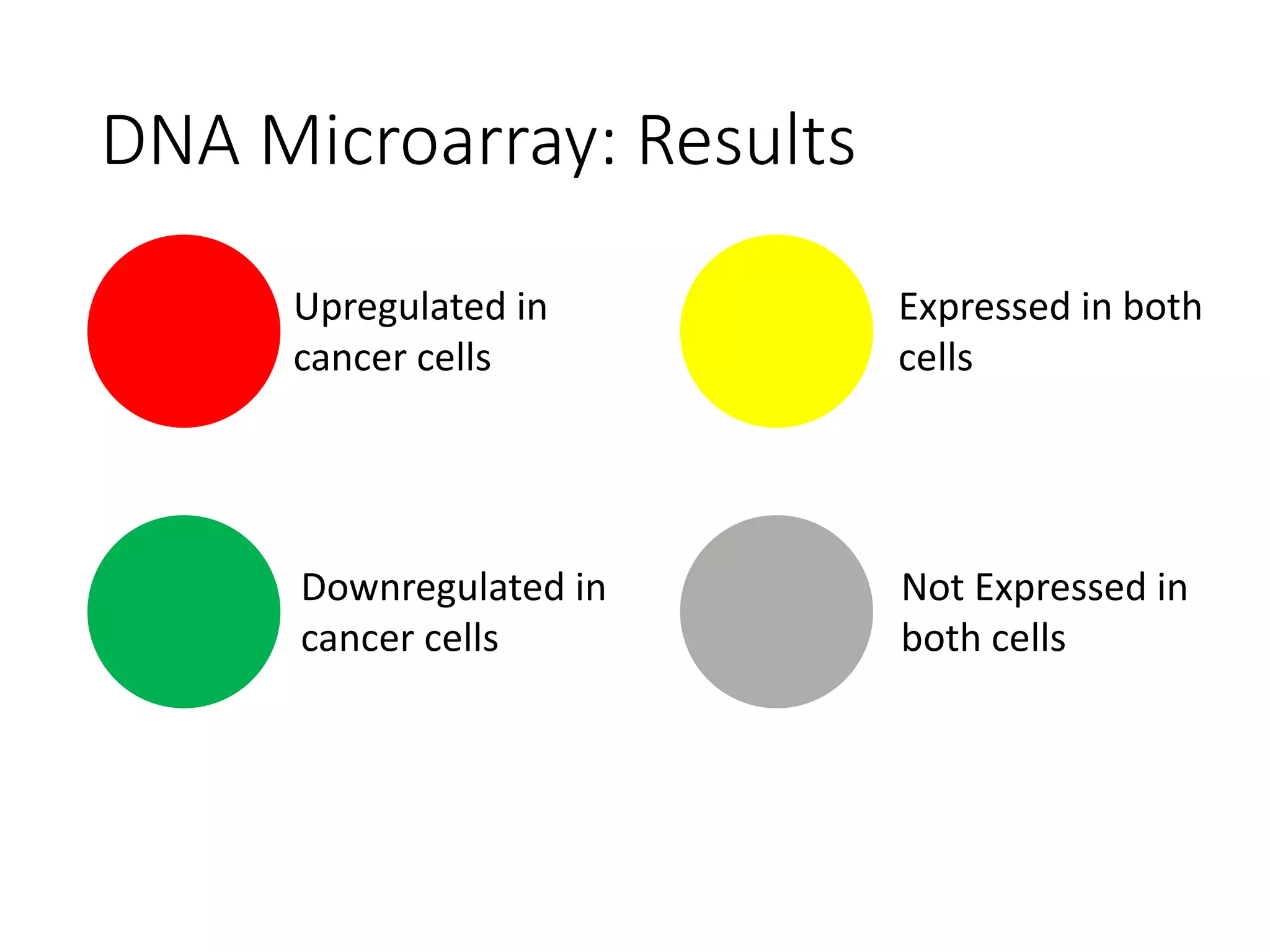 DNA Microarray: Results
Upregulated in
cancer cells
Downregulated in
cancer cells
Expressed in both
cells
Not Expressed in
both cells