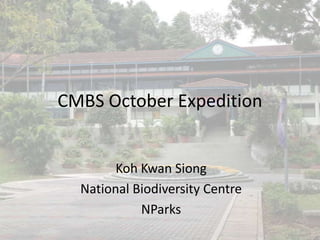 CMBS October Expedition


        Koh Kwan Siong
  National Biodiversity Centre
            NParks
 