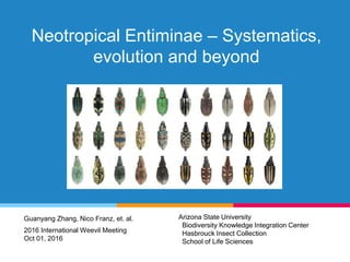 Neotropical Entiminae – Systematics,
evolution and beyond
Guanyang Zhang, Nico Franz, et. al. Arizona State University
Biodiversity Knowledge Integration Center
Hasbrouck Insect Collection
School of Life Sciences
2016 International Weevil Meeting
Oct 01, 2016
 