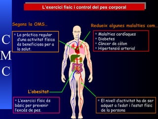L’exercici físic i control del pes corporal El nivell d’activitat ha de ser adquat a l’edat i l’estat físic de la persona Redueix algunes malalties com… Malalties cardíaques Diabetes Càncer de còlon Hipertensió arterial C M C Segons la OMS… La pràctica regular d’una activitat física és beneficiosa per a la salut. L’obesitat L’exercici físic és bàsic per prevenir l’excés de pes. 