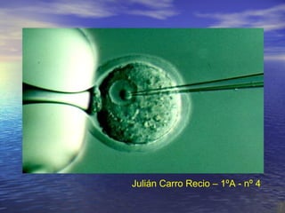 Julián Carro Recio – 1ºA - nº 4 Células nai  e clonación 