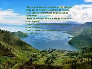 >Teoría de Lamarck: evolución de las especies
dada por la siguiente secuencia de hechos.
* Los cambios ambientales originan nuevas
necesidades
*Éstas determinan el uso o desuso de unos u
otros órganos.
*Tales órganos se desarrollan o se atrofian,
respectivamente.
*Los caracteres así adquiridos son
hereditarios.
 