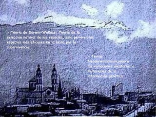 > Teoría de Darwin-Wallace: Teoría de la
selección natural de las especies, solo perviven las
especies más eficaces en la lucha por la
supervivencia.
> Teoría
Neodarwinista:incorpora
las variaciones aleatorias o
mutaciones de la
información genética.
 