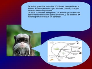Se estima que existe un total de 10 millones de especies en el
Planeta. Estas especies incluyen animales, plantas y una gran
variedad de microorganismos.
De estas 10 millones de especies, 1.4 millones ya han sido han
debidamente identificados por los científicos, y los restantes 8.6
millones permanecen aún sin identificar.
 