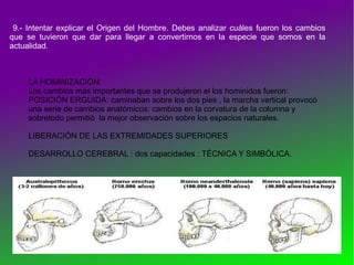 9.- Intentar explicar el Origen del Hombre. Debes analizar cuáles fueron los cambios
que se tuvieron que dar para llegar a convertirnos en la especie que somos en la
actualidad.
LA HOMINIZACIÓN:
Los cambios más importantes que se produjeron el los hominidos fueron:
POSICIÓN ERGUIDA: caminaban sobre los dos pies , la marcha vertical provocó
una serie de cambios anatómicos: cambios en la corvatura de la columna y
sobretodo permitió la mejor observación sobre los espacios naturales.
LIBERACIÓN DE LAS EXTREMIDADES SUPERIORES
DESARROLLO CEREBRAL : dos capacidades : TÉCNICA Y SIMBÓLICA.
 