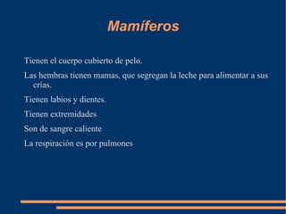 Mamíferos

Tienen el cuerpo cubierto de pelo.
Las hembras tienen mamas, que segregan la leche para alimentar a sus
  crías.
Tienen labios y dientes.
Tienen extremidades
Son de sangre caliente
La respiración es por pulmones
 