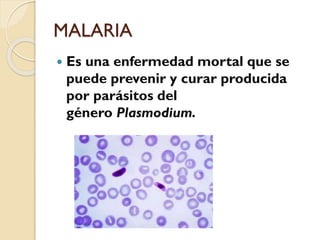 MALARIA


Es una enfermedad mortal que se
puede prevenir y curar producida
por parásitos del
género Plasmodium.

 