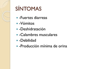 SÍNTOMAS
-Fuertes diarreas
 -Vómitos
 -Deshidratación
 -Calambres musculares
 -Debilidad
 -Producción mínima de orina


 