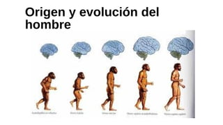 Origen y evolución del 
hombre 
 