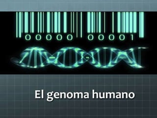 El genoma humano
 