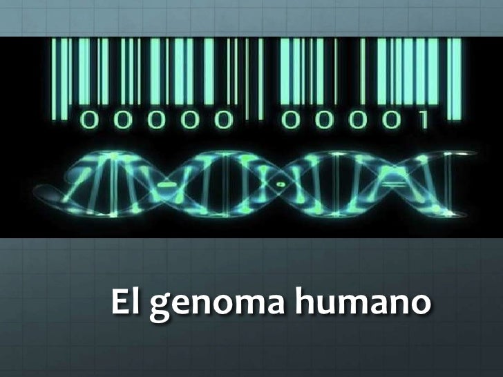 Cmc 5 2 El Genoma Humano