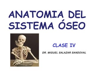 ANATOMIA DEL 
SISTEMA ÓSEO 
CLASE IV 
DR. MIGUEL SALAZAR SANDOVAL 
 