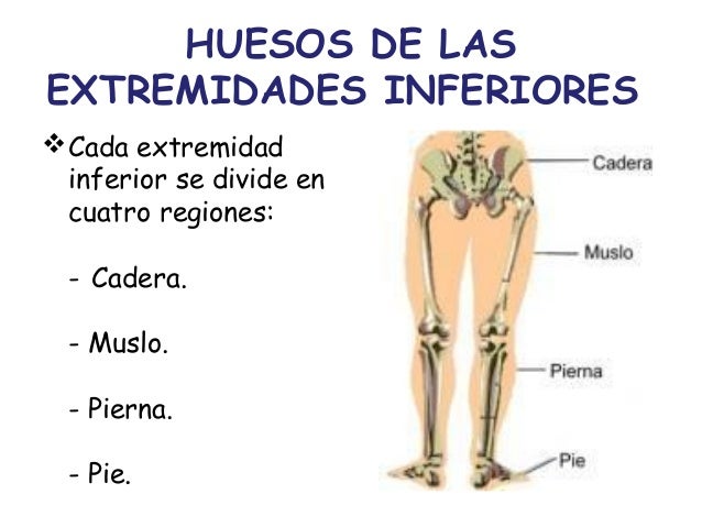 Los síntomas obliteriruyuschih de las enfermedades de las arterias de las extremidades inferiores