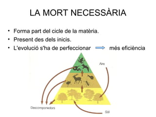 LA MORT NECESSÀRIA
• Forma part del cicle de la matèria.
• Present des dels inicis.
• L'evolució s'ha de perfeccionar més eficiència
 