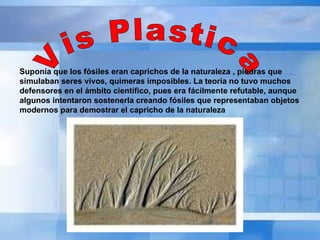 Vis Plastica  Suponía que los fósiles eran caprichos de la naturaleza , piedras que simulaban seres vivos, quimeras imposibles. La teoría no tuvo muchos defensores en el ámbito científico, pues era fácilmente refutable, aunque algunos intentaron sostenerla creando fósiles que representaban objetos modernos para demostrar el capricho de la naturaleza  