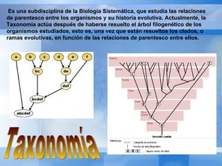 Taxonomía   Es una subdisciplina de la Biología Sistemática, que estudia las relaciones de parentesco entre los organismos y su historia evolutiva. Actualmente, la Taxonomía actúa después de haberse resuelto el árbol filogenético de los organismos estudiados, esto es, una vez que están resueltos los clados, o ramas evolutivas, en función de las relaciones de parentesco entre ellos.   