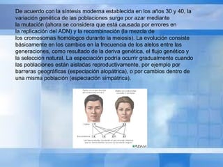 De acuerdo con la síntesis moderna establecida en los años 30 y 40, la variación genética de las poblaciones surge por azar mediante la mutación (ahora se considera que está causada por errores en la replicación del ADN) y la recombinación (la mezcla de los cromosomas homólogos durante la meiosis). La evolución consiste básicamente en los cambios en la frecuencia de los alelos entre las generaciones, como resultado de la deriva genética, el flujo genético y la selección natural. La especiación podría ocurrir gradualmente cuando las poblaciones están aisladas reproductivamente, por ejemplo por barreras geográficas (especiación alopátrica), o por cambios dentro de una misma población (especiación simpátrica). 