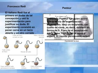 Francesco Redi  El italiano Redi fue el primero en dudar de tal concepción y usó la experimentación para justificar su duda. El experimento consistió en poner carne en un tarro abierto y en otro cerrado también puso carne. Las  cresas,  que parecían nidos de huevos de moscas, se formaron en el tarro abierto, cuya carne se había descompuesto. El italiano dedujo que las cresas brotaban de los pequeñísimos huevos de las moscas.  El francés Pasteur fue quien acabó con la teoría de la generación espontánea. Ideó un recipiente con cuello de cisne, es decir, doblado en forma de S. Puso en el receptáculo pan y agua; hizo hervir el agua, y esperó. El líquido permaneció estéril.  Pasteur 