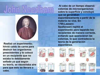   Realizó un experimento; hirvió caldo de carne para destruir los organismos preexistentes y lo colocó en un recipiente que no estaba lo debidamente sellado ya que según su teoría, se necesitaba aire para que esto se llevara a cabo.     Al cabo de un tiempo observó colonias de microorganismos sobre la superficie y concluyó que se generaban espontáneamente a partir de la materia no viva. En 1769,Lazzaro Spallanzani repitió el experimento pero tapando los recipientes de manera correcta, evitando que aparecieran las colonias, lo que contradecía la teoría de la generación espontánea.  John Needham 