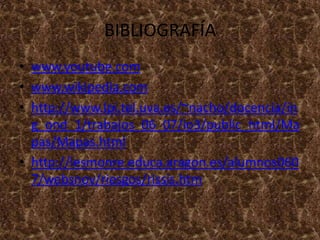 BIBLIOGRAFÍA
• www.youtube.com
• www.wikipedia.com
• http://www.lpi.tel.uva.es/~nacho/docencia/in
  g_ond_1/trabajos_06_07/io3/public_html/Ma
  pas/Mapas.html
• http://iesmonre.educa.aragon.es/alumnos060
  7/websnov/riesgos/rissis.htm
 