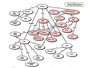 A Proposal to Refine Concept Maps for Effective Science Learning