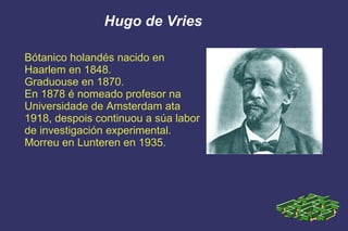 Hugo de Vries Bótanico holandés nacido en  Haarlem en 1848. Graduouse en 1870. En 1878 é nomeado profesor na  Universidade de Amsterdam ata  1918, despois continuou a súa labor de investigación experimental. Morreu en Lunteren en 1935. 