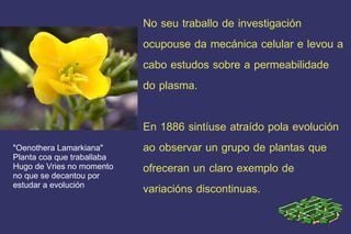 No seu traballo de investigación  ocupouse da mecánica celular e levou a cabo estudos sobre a permeabilidade do plasma. En 1886 sintíuse atraído pola evolución ao observar un grupo de plantas que ofreceran un claro exemplo de    variacións discontinuas. "Oenothera Lamarkiana" Planta coa que traballaba Hugo de Vries no momento no que se decantou por  estudar a evolución 