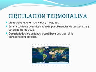 CirCulaCiÓn termoHalina
Viene del griego termos, calor y halos, sal.
Es una corriente oceánica causada por diferencias de temperatura y
densidad de las agua.
Conecta todos los océanos y contribuye una gran cinta
transportadora de calor.
 