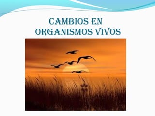 cambIos en
organIsmos vIvos
 