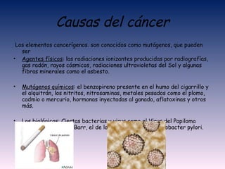 Causas del cáncer Los elementos cancerígenos. son conocidos como mutágenos, que pueden ser Agentes físicos : las radiaciones ionizantes producidas por radiografías, gas radón, rayos cósmicos, radiaciones ultravioletas del Sol y algunas fibras minerales como el asbesto.  Mutágenos químicos : el benzopireno presente en el humo del cigarrillo y el alquitrán, los nitritos, nitrosaminas, metales pesados como el plomo, cadmio o mercurio, hormonas inyectadas al ganado, aflatoxinas y otros más.  Los biológicos : Ciertas bacterias y virus como el Virus del Papiloma Humano, el Epstein-Barr, el de la Hepatitis B y el Helicobacter pylori.   