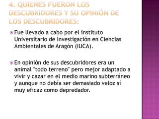  Fuellevado a cabo por el instituto
 Universitario de Investigación en Ciencias
 Ambientales de Aragón (IUCA).

 Enopinión de sus descubridores era un
 animal "todo terreno" pero mejor adaptado a
 vivir y cazar en el medio marino subterráneo
 y aunque no debía ser demasiado veloz sí
 muy eficaz como depredador.
 