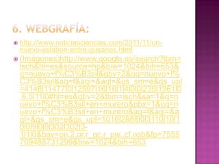    http://www.noticiasciencias.com/2011/11/un-
    nuevo-eslabon-entre-gusanos.html
 (Imágenes)http://www.google.es/search?tbm=
    isch&hl=es&source=hp&biw=1024&bih=653&
    q=nuevo+f%C3%B3sil&gbv=2&oq=nuevo+f%
    C3%B3sil&aq=f&aqi=&aql=&gs_sm=e&gs_upl
    =4148l11477l0l12597l16l16l1l4l0l0l235l1961l0
    .6.5l11l0#hl=es&gbv=2&tbm=isch&sa=1&q=n
    uevo+f%C3%B3sil+en+murero&pbx=1&oq=n
    uevo+f%C3%B3sil+en+murero&aq=f&aqi=&a
    ql=&gs_sm=e&gs_upl=1016l2888l0l3110l10l1
    0l0l9l0l0l302l302l3-
    1l1l0&bav=on.2,or.r_gc.r_pw.,cf.osb&fp=7555
    709488731299&biw=1024&bih=653
 