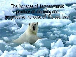 • If we all collaborate, we would be able
  to check the global warming avoiding
  catastrophes they are about to come
  l...