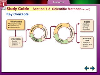 Study Guide 3 Section 1.3  Scientific Methods  (cont.) Key Concepts 