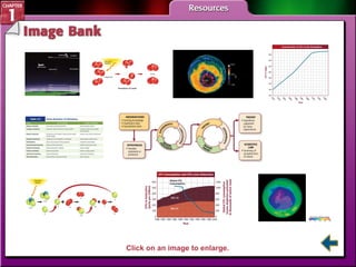 IB Menu Click on an image to enlarge. 