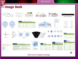 IB Menu Click on an image to enlarge. 