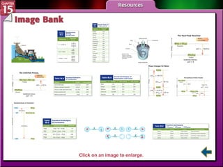IB Menu Click on an image to enlarge. 
