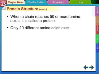 Section 23-1 Protein Structure  (cont.) When a chain reaches 50 or more amino acids, it is called a protein. Only 20 different amino acids exist. 