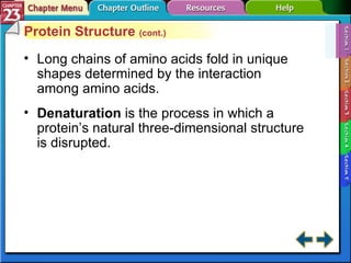 Section 23-1 Protein Structure  (cont.) Long chains of amino acids fold in unique shapes determined by the interaction among amino acids. Denaturation   is the process in which a protein’s natural three-dimensional structure is disrupted. 