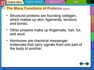 Section 23-1 The Many Functions of Proteins  (cont.) Structural proteins are founding collagen, which makes up skin, ligaments, tendons, and bones. Other proteins make up fingernails, hair, fur, and wool. Hormones are chemical messenger molecules that carry signals from one part of the body to another. 