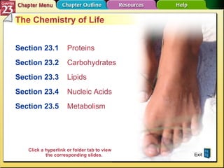 Chapter Menu The Chemistry of Life Section 23.1 Proteins Section 23.2   Carbohydrates Section 23.3   Lipids Section 23.4   Nucleic Acids Section 23.5 Metabolism Exit Click a hyperlink or folder tab to view the corresponding slides. 