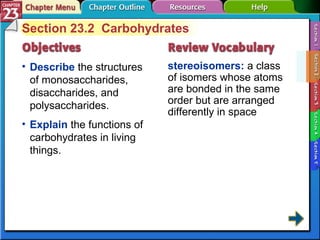 Section 23-2 Section 23.2  Carbohydrates Describe  the structures of monosaccharides, disaccharides, and polysaccharides. stereoisomers:  a class of isomers whose atoms are bonded in the same order but are arranged differently in space Explain  the functions of carbohydrates in living things. 