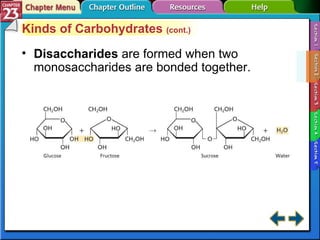 Section 23-2 Kinds of Carbohydrates  (cont.) Disaccharides   are formed when two monosaccharides are bonded together. 