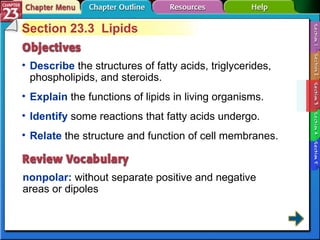 Section 23-3 Section 23.3  Lipids Describe  the structures of fatty acids, triglycerides, phospholipids, and steroids. nonpolar:  without separate positive and negative areas or dipoles Explain  the functions of lipids in living organisms.  Identify  some reactions that fatty acids undergo. Relate  the structure and function of cell membranes. 