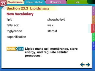 Section 23-3 Section 23.3  Lipids  (cont.) lipid fatty acid triglyceride saponification Lipids make cell membranes, store energy, and regulate cellular processes. phospholipid wax steroid 