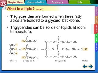 Section 23-3 What is a lipid?  (cont.) Triglycerides  are formed when three fatty acids are bonded to a glycerol backbone. Triglycerides can be solids or liquids at room temperature. 