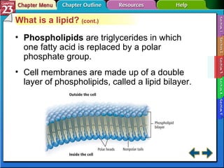 Section 23-3 What is a lipid?  (cont.) Phospholipids   are triglycerides in which one fatty acid is replaced by a polar phosphate group. Cell membranes are made up of a double layer of phospholipids, called a lipid bilayer. 